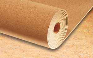Cortex Underlay